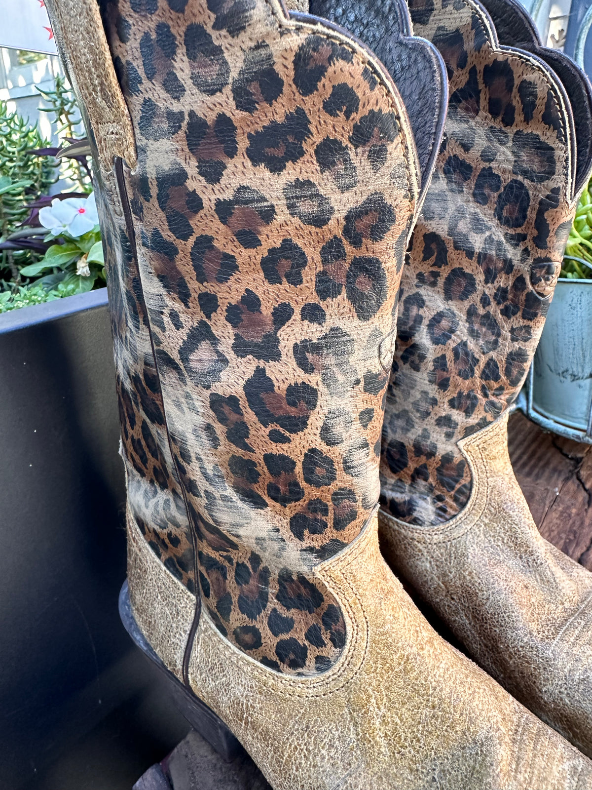 Resale Deals Ariat Women's Leopard Savanna Boot Size 9B