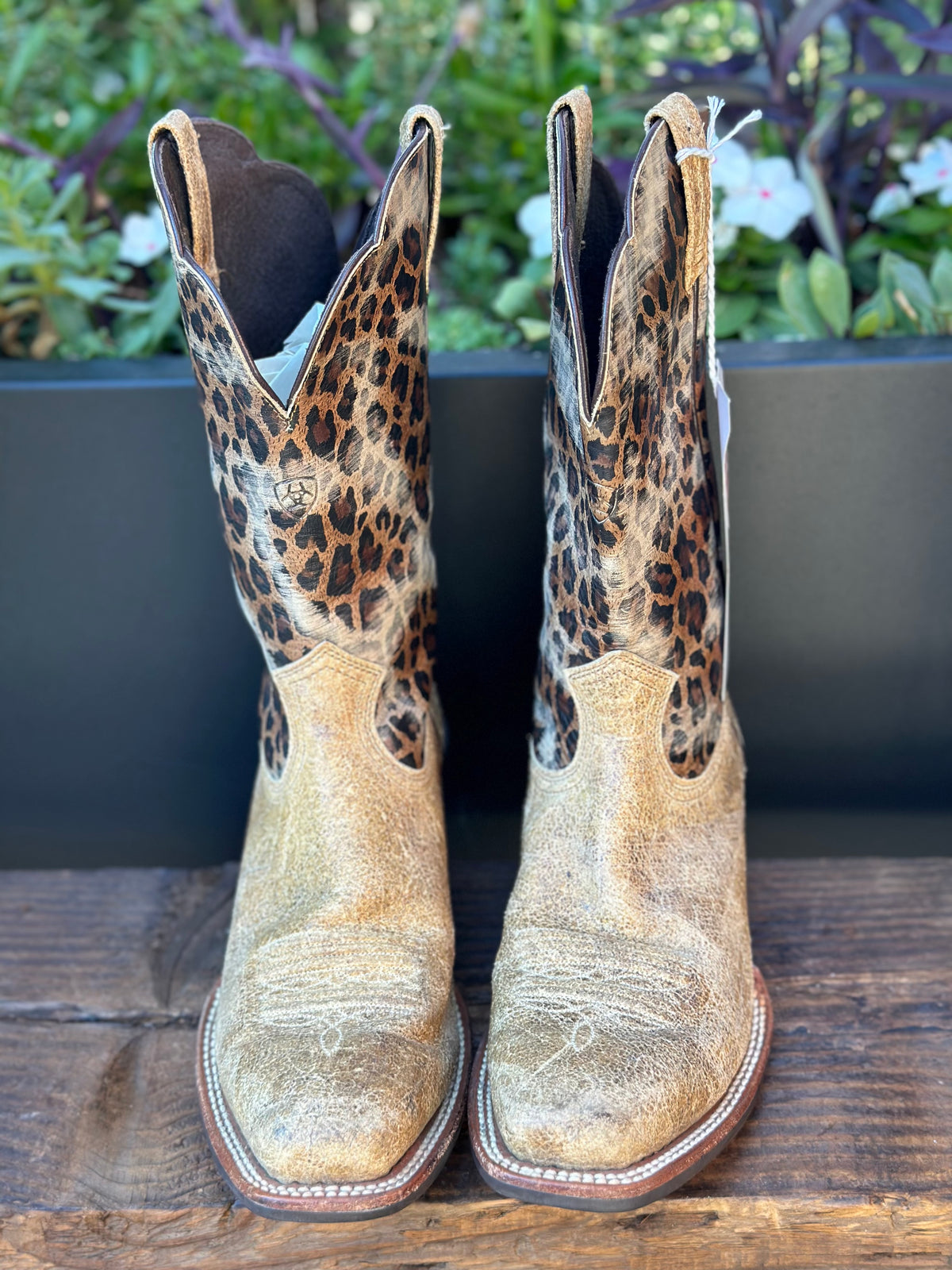 Resale Deals Ariat Women's Leopard Savanna Boot Size 9B