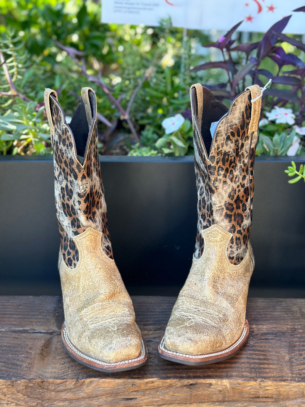 Resale Deals Ariat Women's Leopard Savanna Boot Size 9B