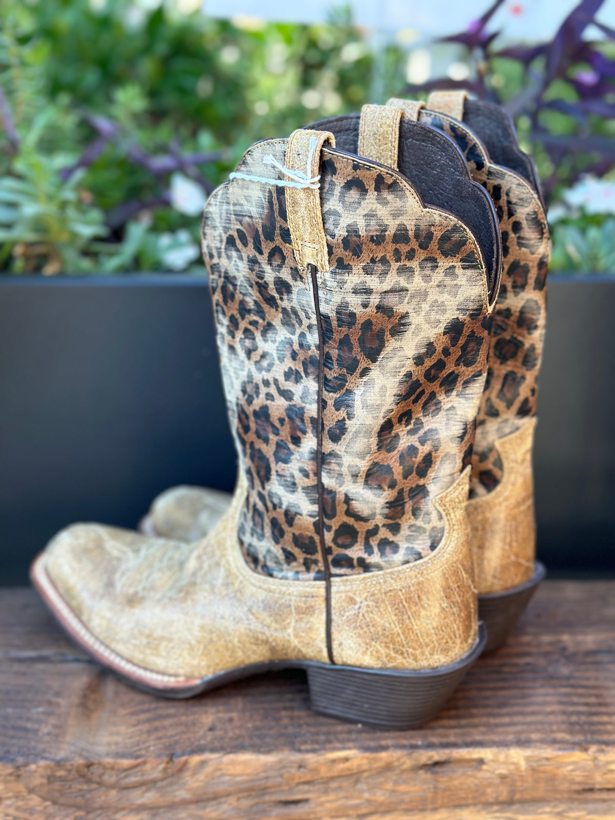 Resale Deals Ariat Women's Leopard Savanna Boot Size 9B