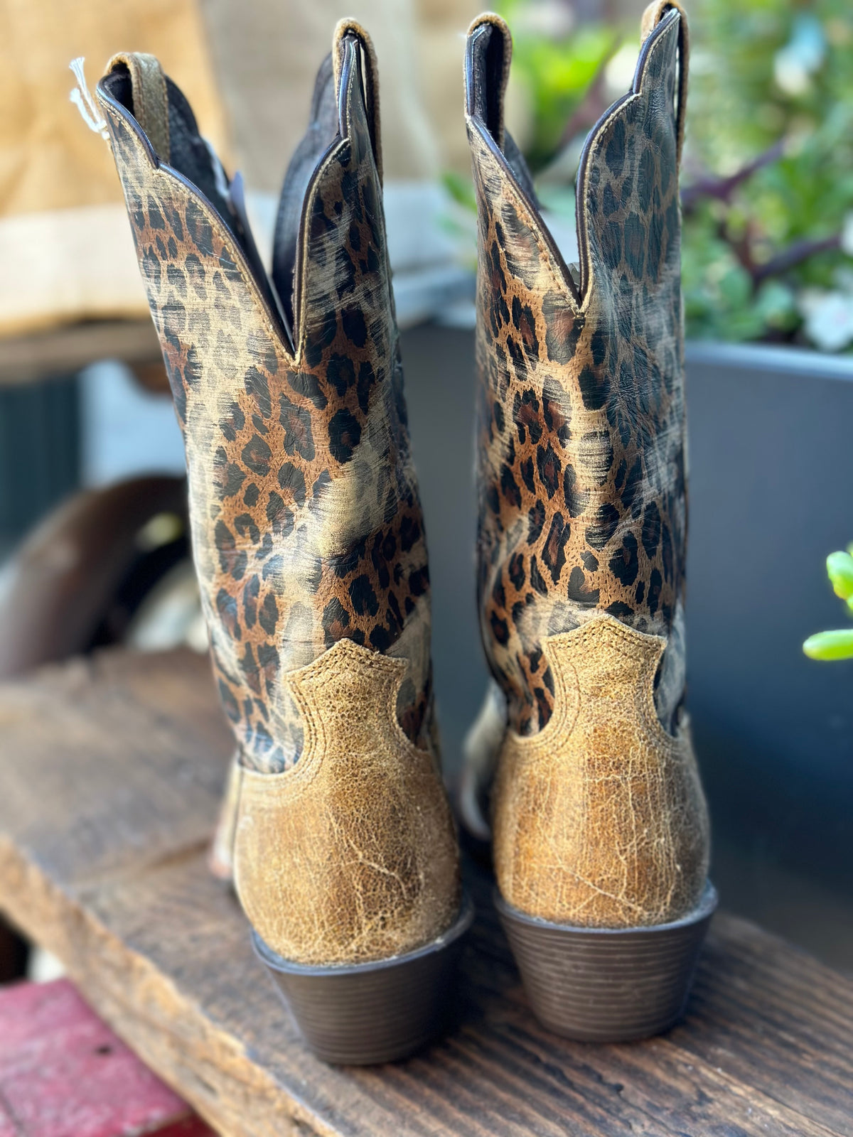 Resale Deals Ariat Women's Leopard Savanna Boot Size 9B