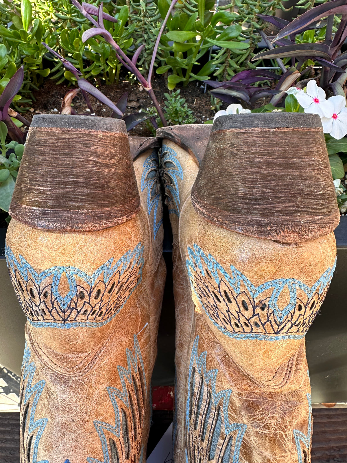 Resale Deals Corral Heart Angel Wing Cowgirl Boots-Snip Toe Size 9.5 #1935