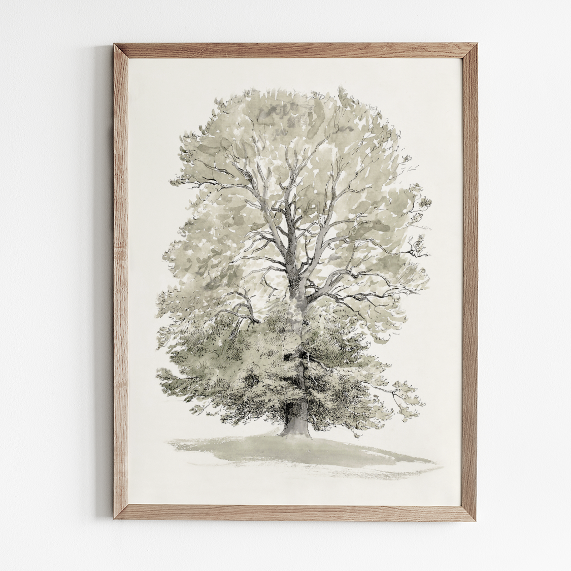 Winter Tree Art Print